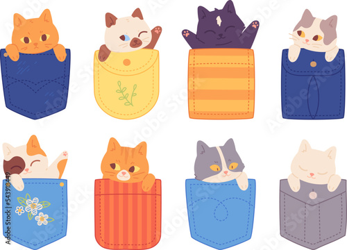 Pocket cats. Adorable kittens in big pockets, happy charming baby cat t-shirt print, cartoon kid fluffy pets characters cute little kitty head art draw garish vector illustration