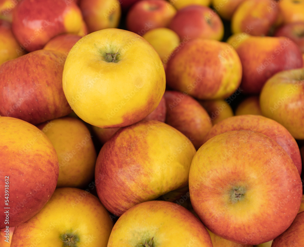 A hill of beautiful appetizing red-yellow apples A hill of beautiful appetizing red-yellow apples
