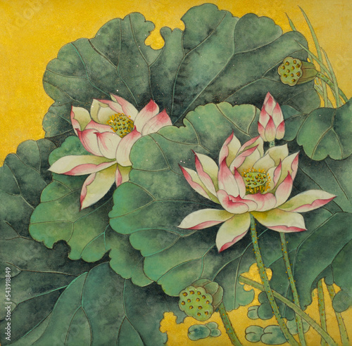 lotus bright flower © hikolaj2