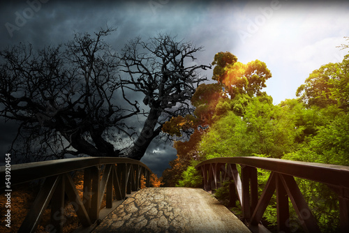 Conceptual photo depicting Earth destroyed by environmental pollution