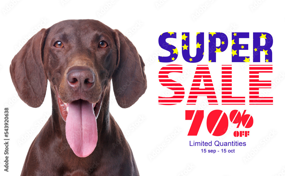 Advertising poster Pet Shop SALE. Cute dog and discount offer on white background