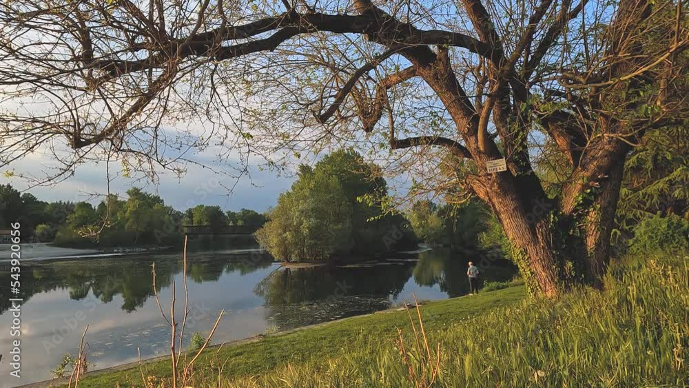 river in the woods in cloudy day