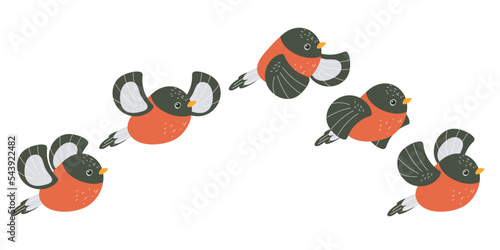 Winter red bird fly steps action design element concept illustration