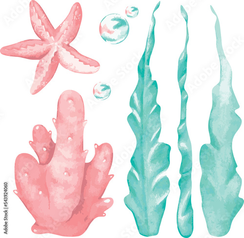 Algae, coral and starfish set. Watercolor illustration.