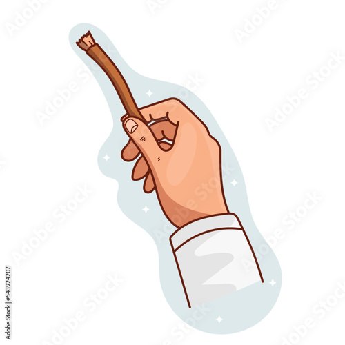 hands holds Old islamic traditional natural toothbrush Miswak or Siwak vector.eps
 photo