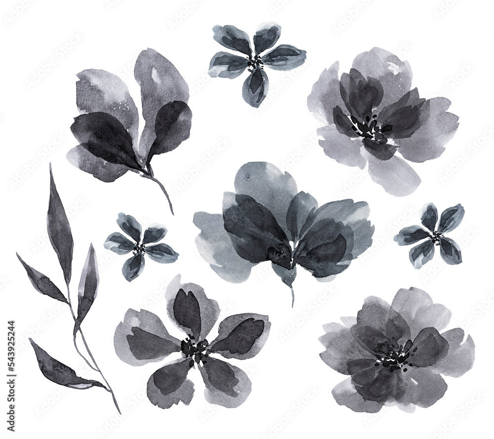 Painted watercolor flowers. Watercolor elements for decoration. Card