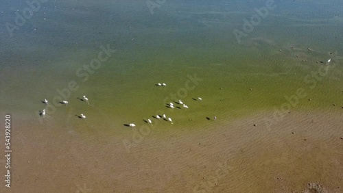 Aerial view of Lake Bafa bird sanctuary and a nature reserve, Turkey photo