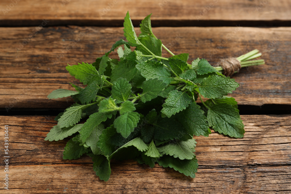 Bunch of fresh green lemon balm on wooden table, closeup Bunch of fresh green lemon balm on wooden table, closeup
