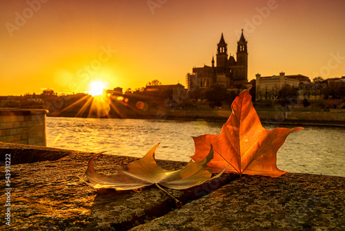 Foto Sonnenuntergang  in Magdeburg an der Elbe mit Dom und Ahornblatt