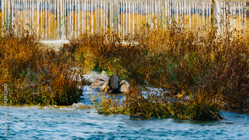 Guadalupe River Trail in Kerrville, Texas during Fall photo