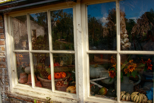 old wooden window with garlick, pumpkins , autumn still life, garden tools and view to autmn backyard reflect in glass vintage