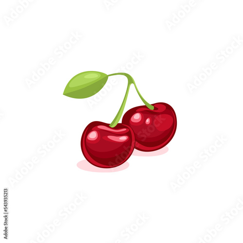 Drawing of a ripe red cherry