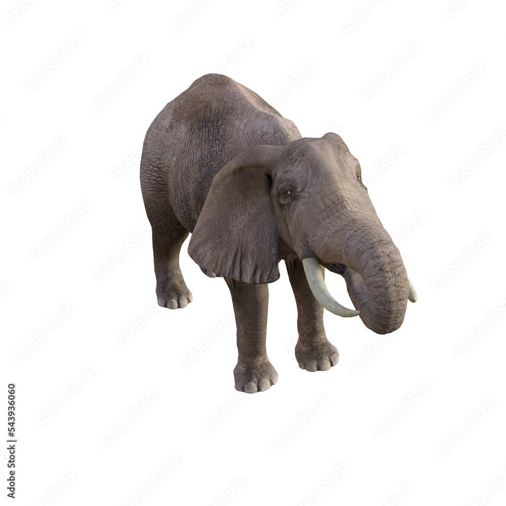 Fototapeta premium Illustration of an elephant in different poses and angles for collage or clip art. Pose number 1 isolated on white background. 3D rendering illustration.
