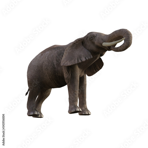 Illustration of an elephant in different poses and angles for collage or clip art. Pose number 1 isolated on white background. 3D rendering illustration.