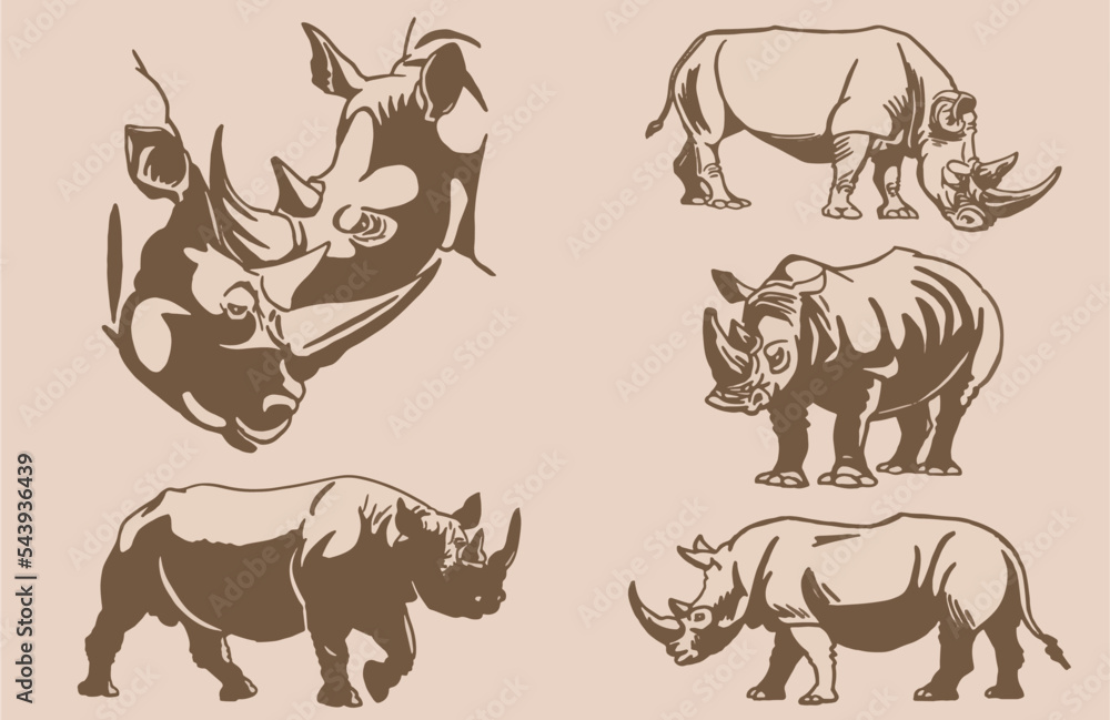 Vector set of rhinoceroses . Stylish vintage print elements, savanna habitant on sepia background