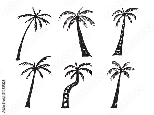 set of realistic hand drawn palm trees silhouettes