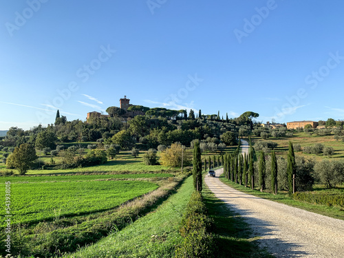 Canvas Print View of Palazzo Massaini with white road and cypress in the countryside near Pienza, province Siena, Italy