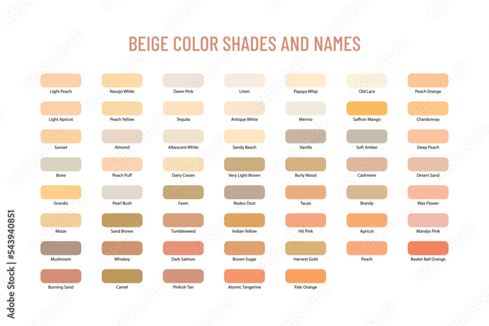 Beige color shades and names Stock Vector | Adobe Stock