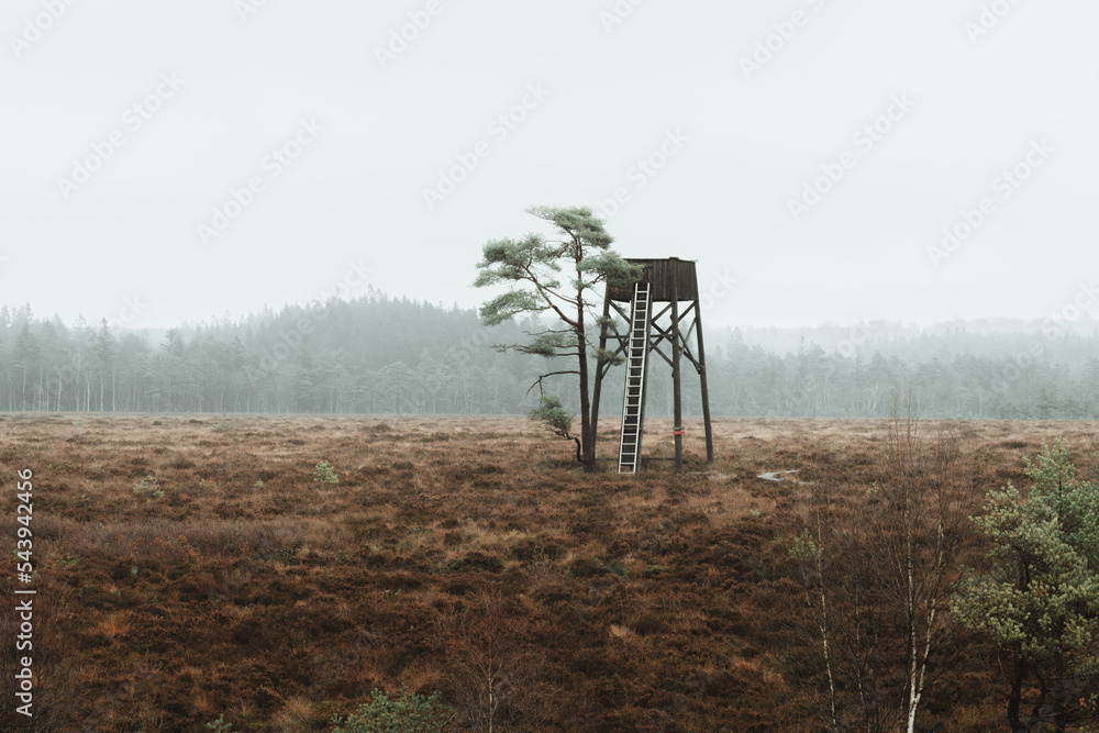 Naklejka premium A watchtower with heavy fog in the background in Djurholmen nature reserve, Sweden. Captured in fall season.