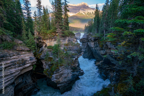 Canvas-taulu Athabasca Falls