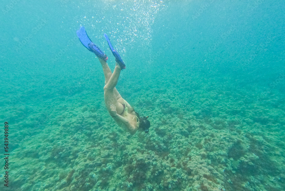 Naklejka premium Scuba diver in the sea