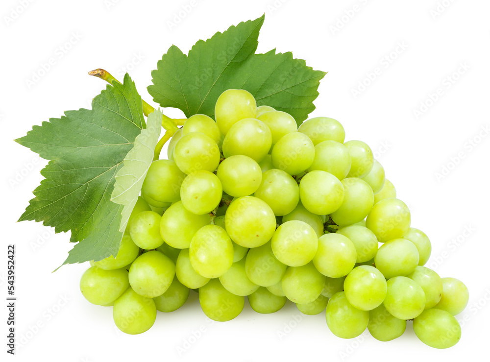 Bunch of Green Grape with leaves isolated on white background, Sweet Green Grape on a branch on white PNG File. Bunch of Green Grape with leaves isolated on white background, Sweet Green Grape on a branch on white PNG File.
