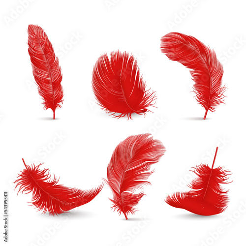 Vector 3d Realistic Red Fluffy Feather Set Isolated on White Background. Design Template of Flamingo, Angel, Bird Detailed Feathers. Lightness,Freedom Concept