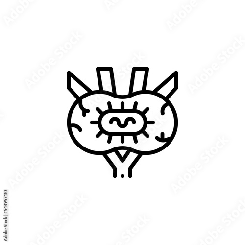 lymph nodes icon