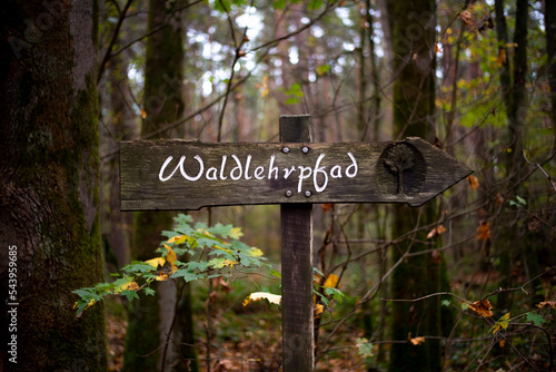 Waldlehrpfad Schild im Königsforst in Köln.