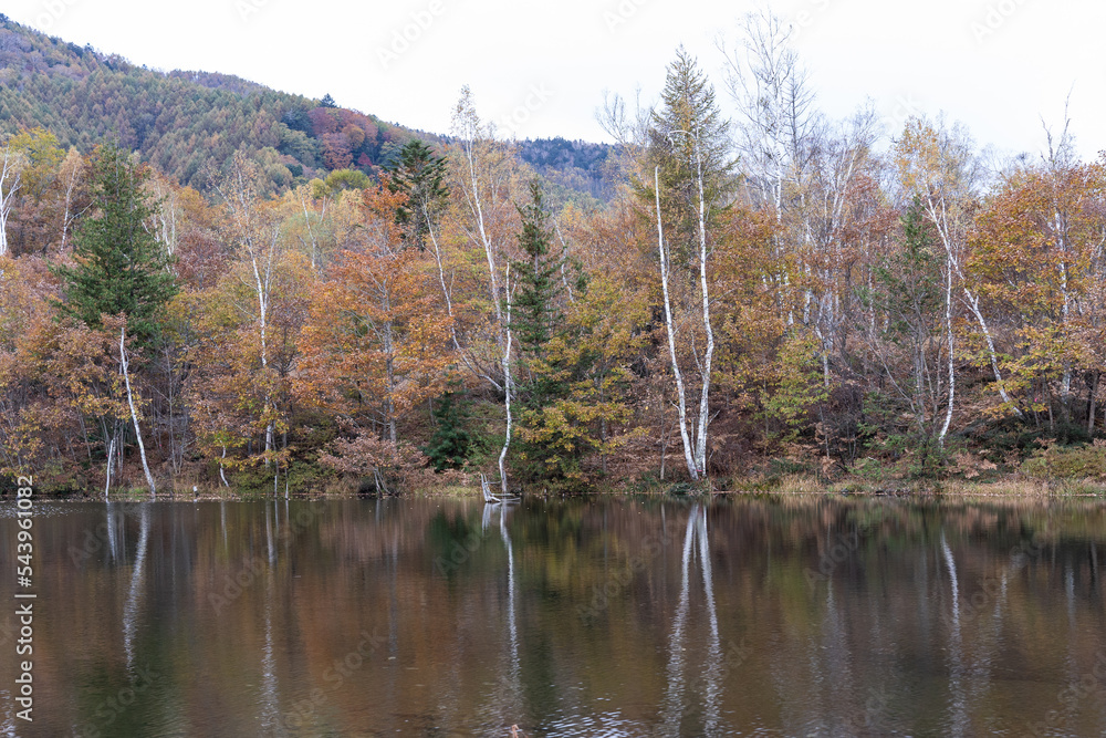 Fototapeta premium 乗鞍高原の晩秋の池の風景