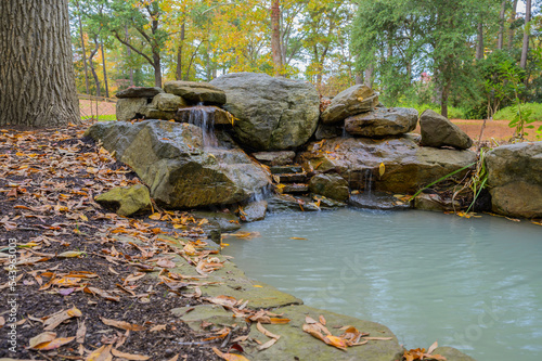 autumn leaves on the river