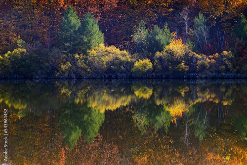 Autumn coolers in Oka national park, Canada