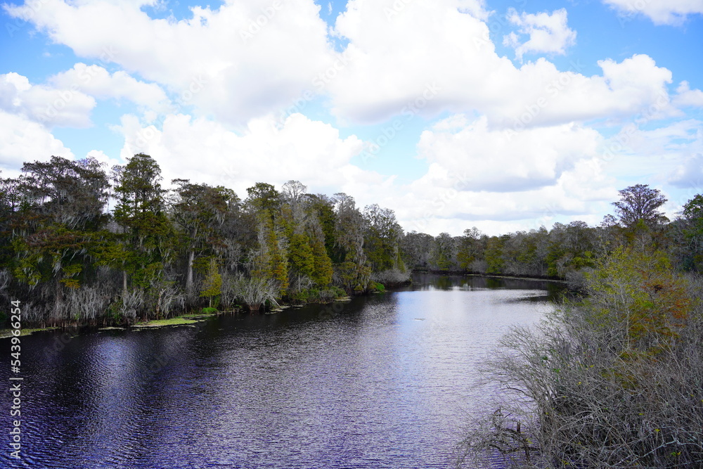 Obraz premium Landscape of Hillsborough river at Lettuce lake park in autumn