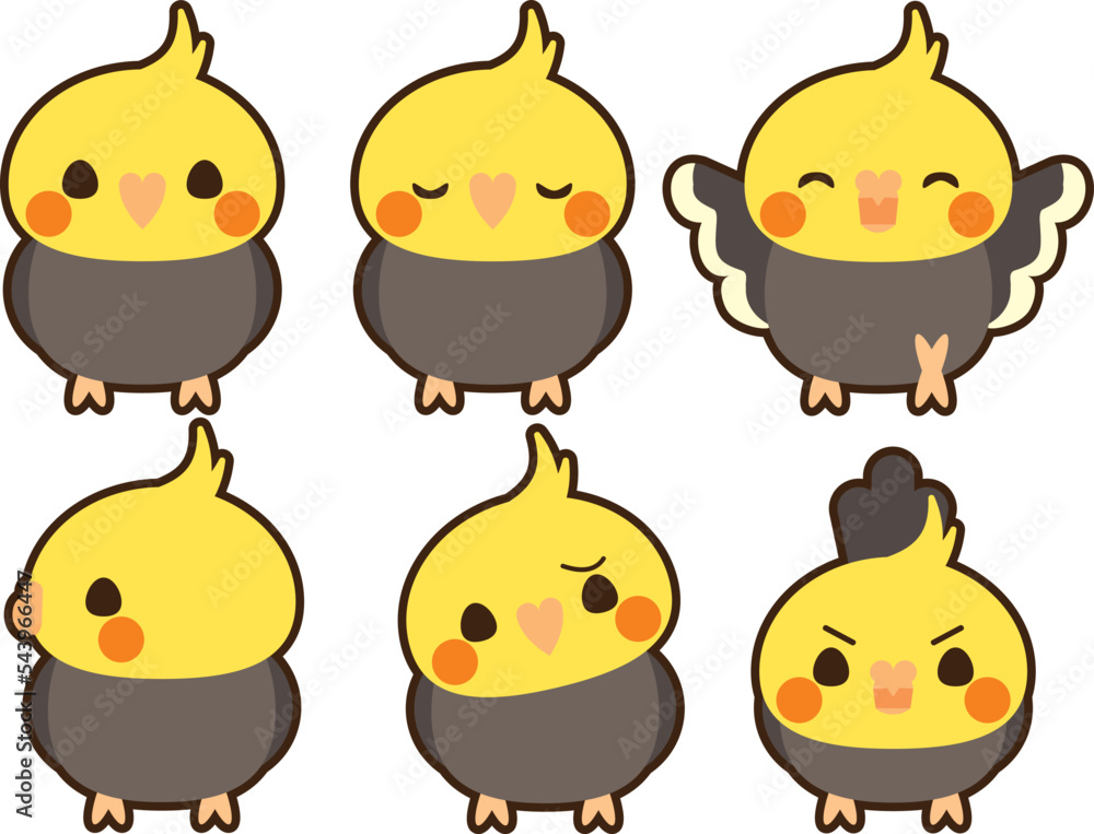 オカメインコ　セット　フチあり