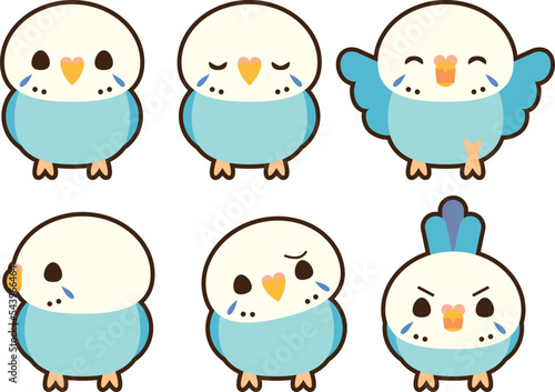 セキセイインコ_ブルー　フチあり