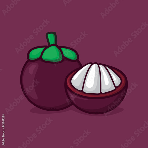 mangosteen fruit vector illustration. suitable as an icon, sticker, or other needs photo