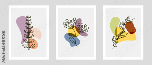 Botanical wall art vector set. Foliage line art drawing with abstract shape. Abstract Plant Art design for print, cover, wallpaper, Minimal and natural wall art. Vector illustration.  © Dewi