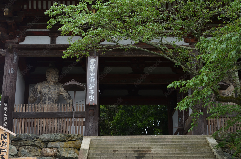 the main gate of Kinpusen-ji temple in Mt. Yoshino