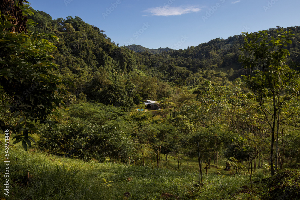 holiday house in the middle of the green vegetation of the mountain on a sunny morning holiday house in the middle of the green vegetation of the mountain on a sunny morning