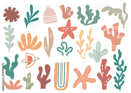 hand drawn floral aesthetic element pastel color
