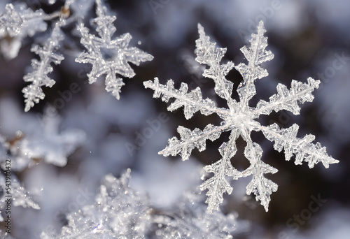 Macro photo of beautiful snowflakes © LeoOrigami