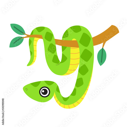 Cute snake, a smiling boa character hanging on a tree branch. Vector illustration isolated on a white background