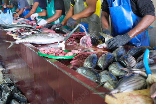 Male market that selling fresh hauling tuna fish, and the market provide the fish cutting service, Maldives. photo