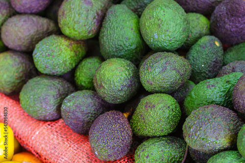 Fresh ripe green organic avocados new harvest on farmers market