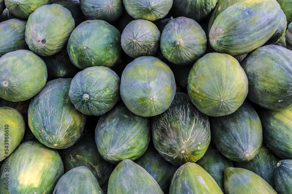 Wholesale of winter melons in the Asian market Wholesale of winter melons in the Asian market