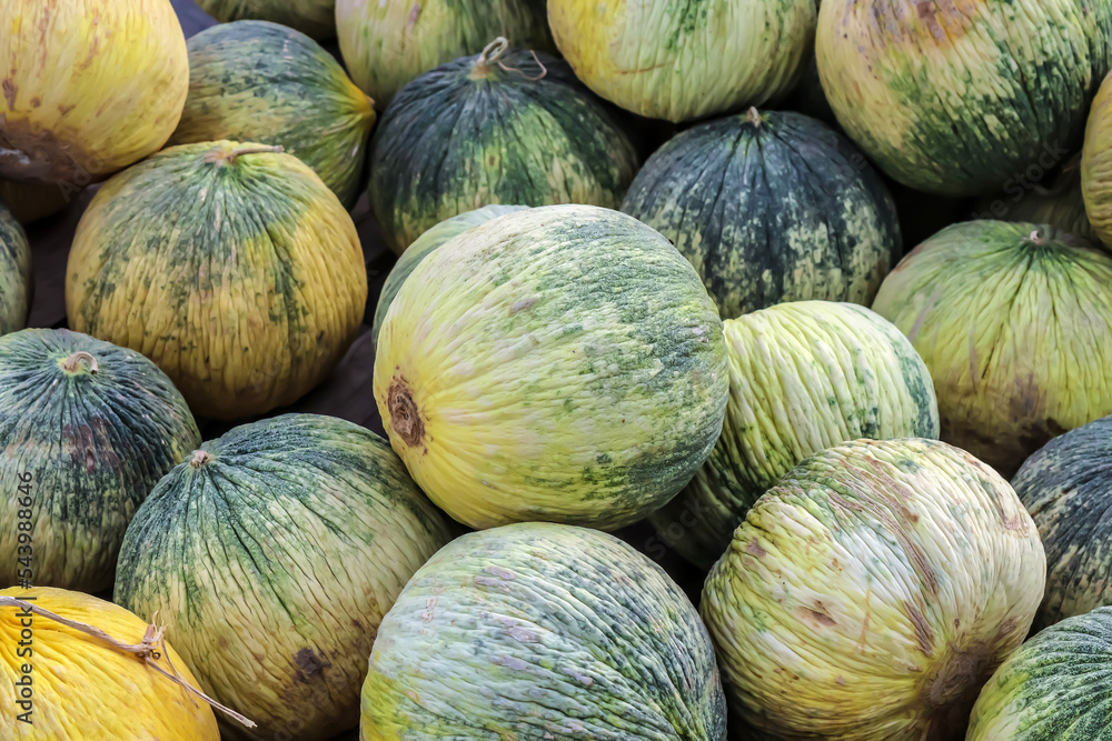 Wholesale of winter melons in the Asian market