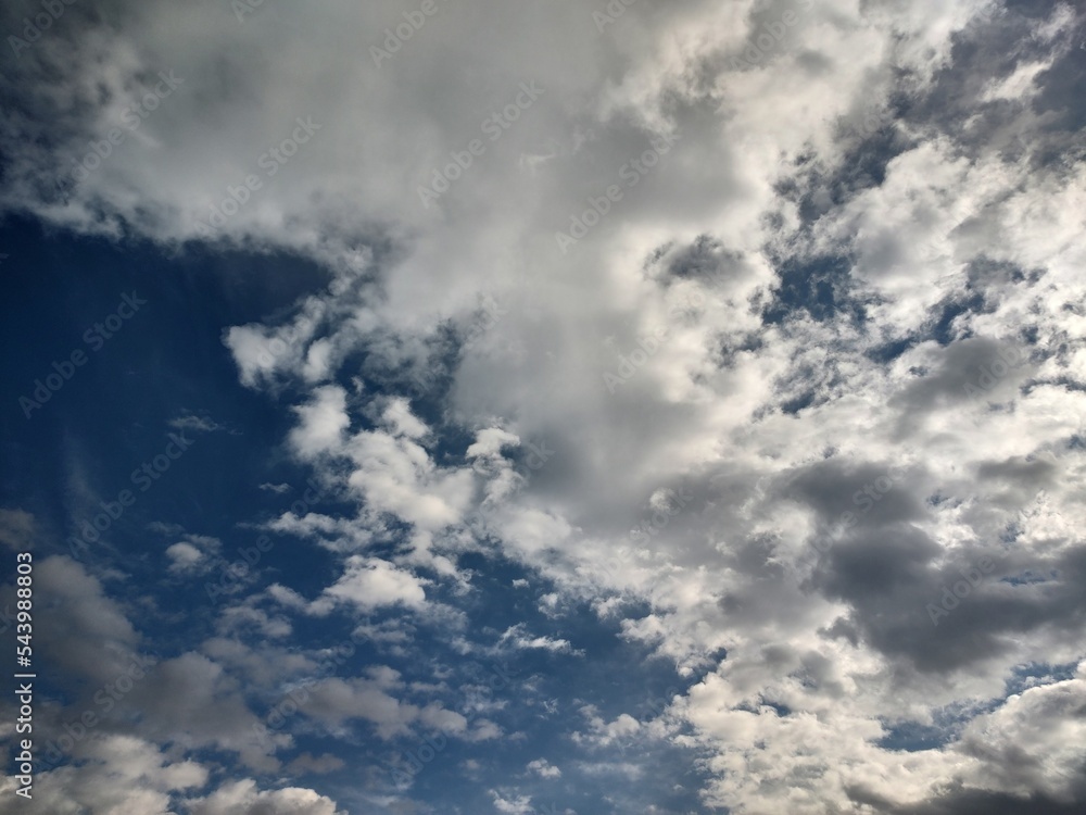 Obraz premium 東京のそら(22.11.7)