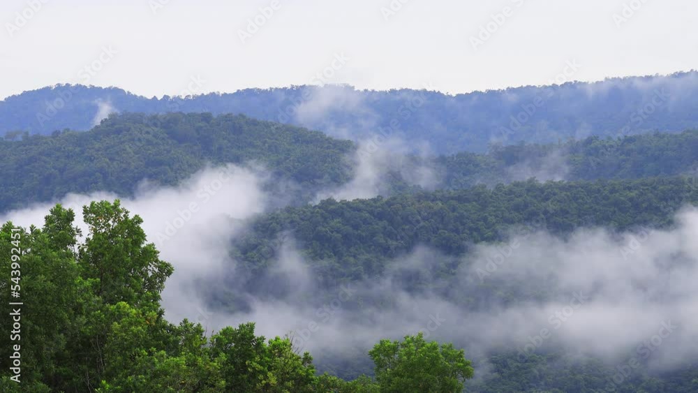 Mist flowing through the mountain valley at Khao Yai National Park, Thailand
Mist flowing through the mountain valley at Khao Yai National Park, Thailand