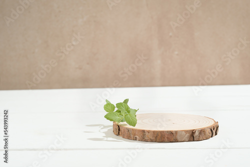 Fototapeta Naklejka Na Ścianę i Meble -  empty stage with wooden podium decorated with mint leaves. product promotion display. abstract minimal scene for new product presentation.