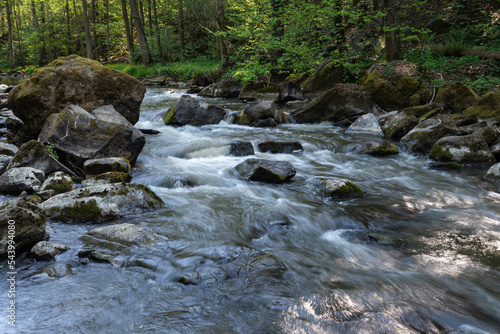 Wild river Doubrava in Czech Republic, Europe. photo